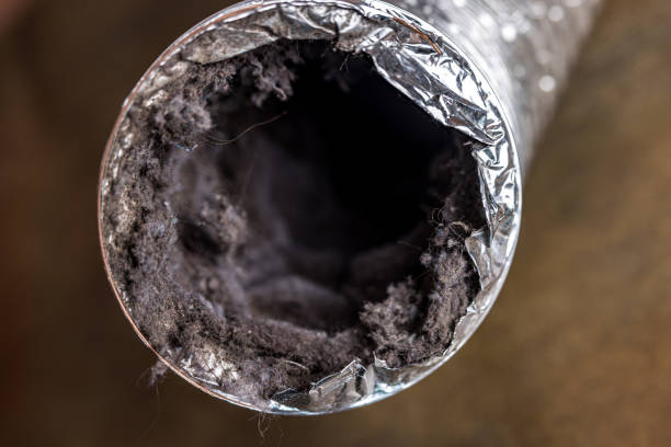 Best Ductwork Cleaning Services  in Atmore, AL